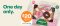 DEAL: 7-Eleven – $20 Krispy Kreme Celebration 12 Pack (26 June 2024) 13